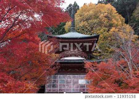 Horinji寺 11935158