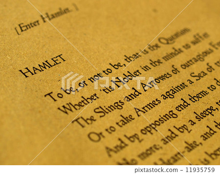William Shakespeare Hamlet 11935759