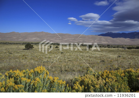 Great Sand Dunes National Park 11936201