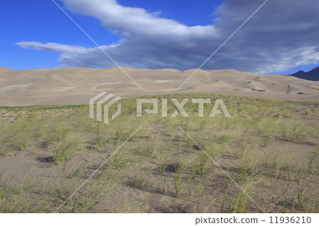 Great Sand Dunes National Park 11936210