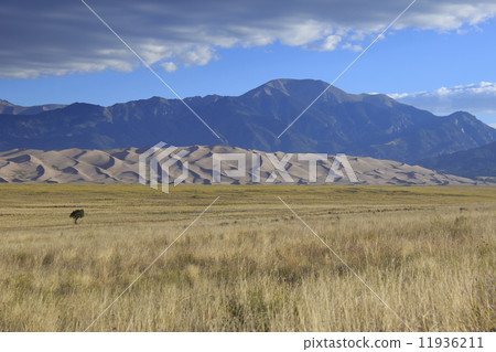 Great Sand Dunes National Park 11936211