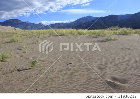 Great Sand Dunes National Park 11936212