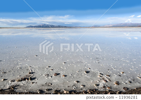 Salinas Grandes, Andes, Argentina 11936281