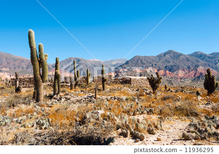 Colorful valley of Quebrada de Humahuaca, central Andes Altiplan 11936295
