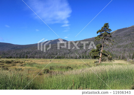 Rocky Mountain National Park 11936343