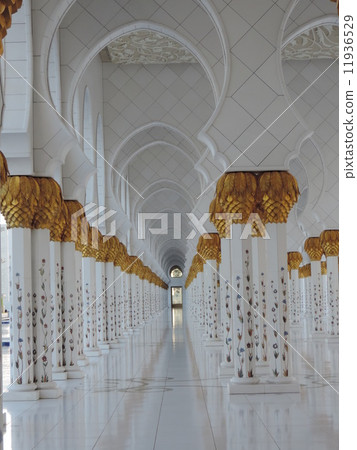 謝赫扎耶德大清真寺 11936529