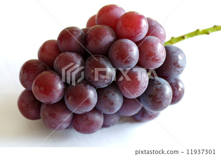Grape  Grape  11937301