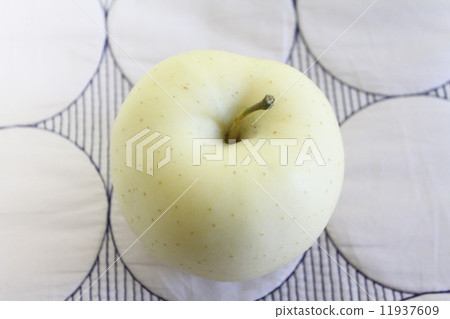 Reliance from North Korea 11937609