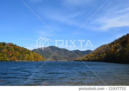 Autumn leaves of Lake Bikyohei 11937752