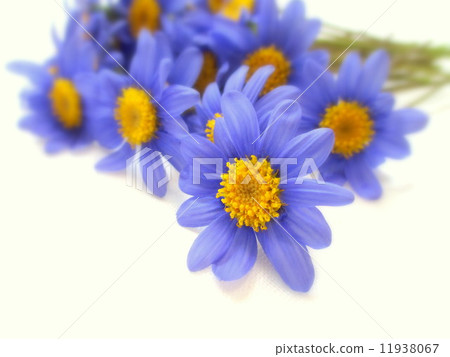 安靜的時間。 。 。 11938067