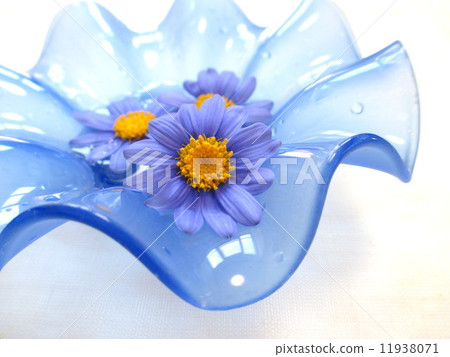 它是同一種顏色藍色雛菊和藍色玻璃的容器 11938071