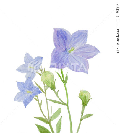 Powered by Translate 11939359