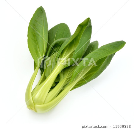 Food Easy Blue Ravine Chingeng Saigingen蔬菜蔬菜綠色黃色蔬菜新鮮蔬菜料理中式料理中式日式料理日本料理中式蔬菜綠葉蔬菜嘶嘶湯美味食譜美食側碗湯 11939558