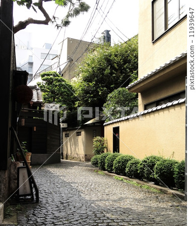 Kagurazaka alley 1 11939647