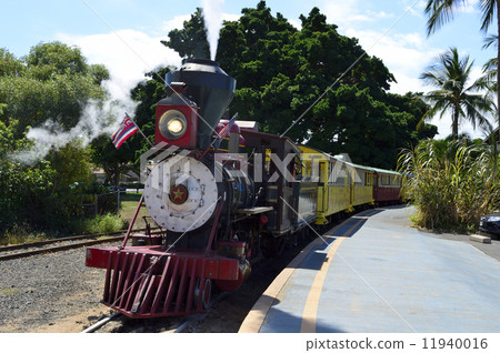 91696 Lahaina,毛伊島 91696 Lahaina,毛伊島 11940016