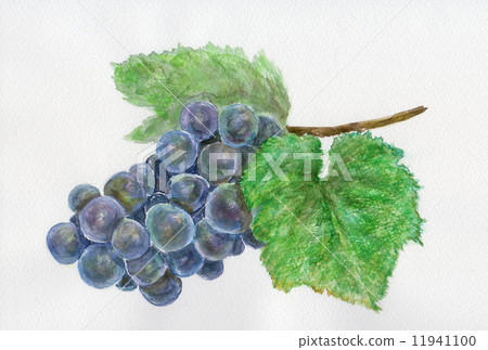 葡萄食品水果酒法國勃艮第紅葡萄酒葡萄Gamye食品農產品Beaujolais Gorey Nouveau Beaujolais Nouveau Gamay Gamey Noir A Ju Blanc Tortoise 11941100