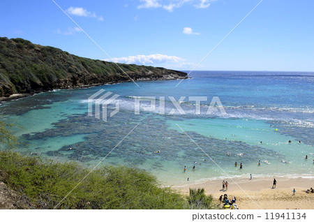 91814 Oahu Hanauma Bay 91814 Oahu Hanauma Bay 11941134