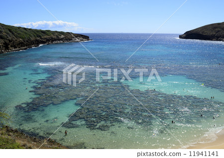 91821 Oahu Hanauma Bay 11941141