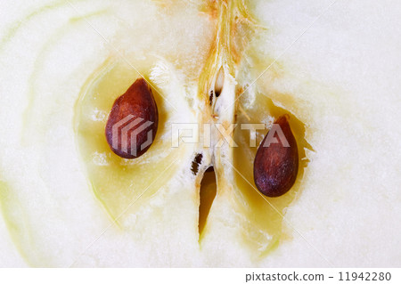 apple macro 11942280