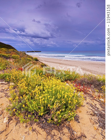 Sant Tomas Beach on Minorca Sant Tomas Beach on Minorca 11943158