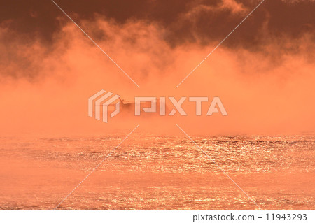 三原的薄霧 11943293