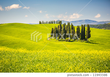 Tuscany at spring 11943386