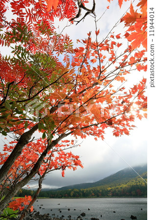 Yatsugatake mountain range of autumn leaves · Rain pond lakeside 11944014