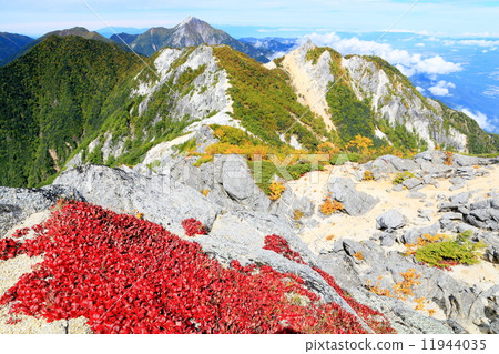 Autumnal leaves of Uraushima Azalea from Kamon Dake of Minami Alps and Kai Komagatake · Mt. Jizo Autumnal leaves of Uraushima Azalea from Kamon Dake of Minami Alps and Kai Komagatake · Mt. Jizo 11944035