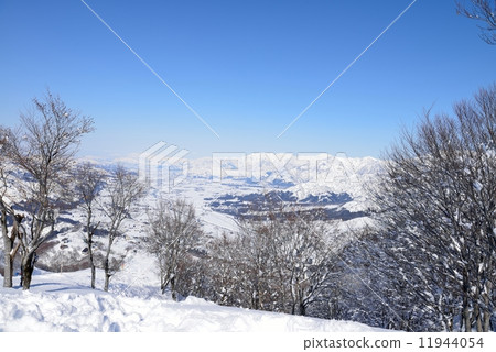 滑雪晴朗的天空 11944054