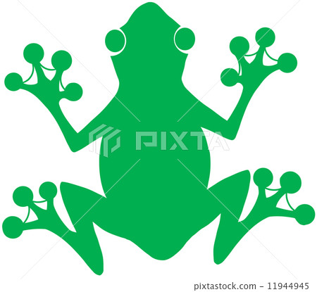 Green Frog Silhouette on the White Background Green Frog Silhouette on the White Background 11944945