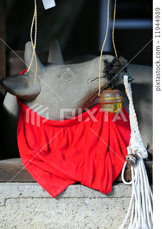 Stroke cow -1 11944989