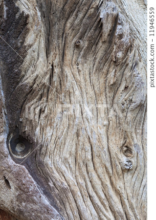 Wood texture background 11946559