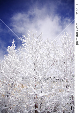 Gray ice on Yufu 11946604