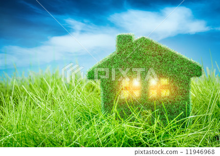 House on the green grass House on the green grass 11946968
