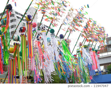 Hiratsuka Tanabata Hiratsuka Tanabata 11947047