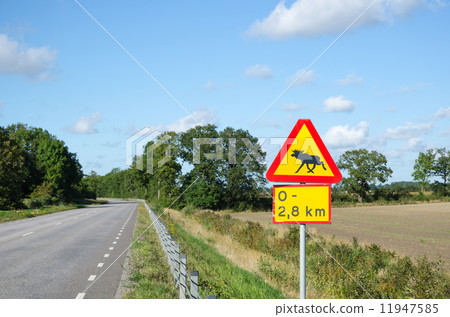 Moose warning roadsign 11947585