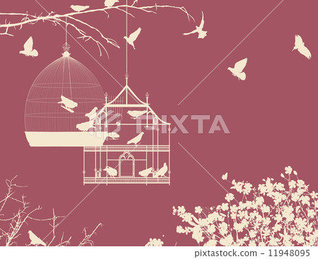 Birds and birdcages postcard 10 Birds and birdcages postcard 10 11948095