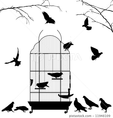 Open bird cage and birds Open bird cage and birds 11948109