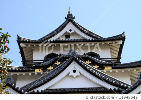 Hikone castle 11948642