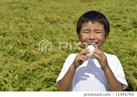 Novice Novice 11948709
