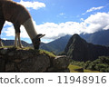 Machu Picchu 11948916