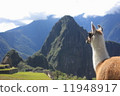 Machu Picchu 11948917
