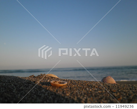 Seashell Seashell 11949236