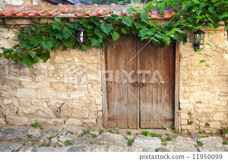 Old wooden door and vine on stone wall, Nessebar Old wooden door and vine on stone wall, Nessebar 11950099