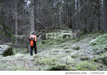 Woodman deep in the forest Woodman deep in the forest 11950120