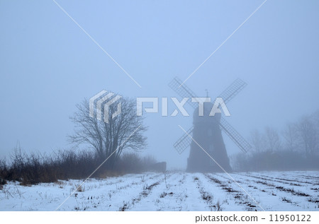 Spooky windmill a foggy day 11950122