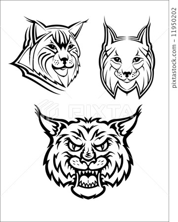 Wild bobcat or lynx mascots 11950202