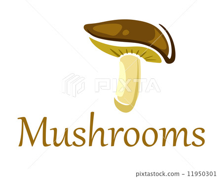 Forest mushroom on white Forest mushroom on white 11950301