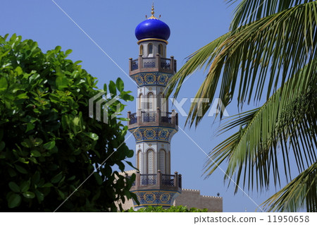 Salalah Salalah 11950658