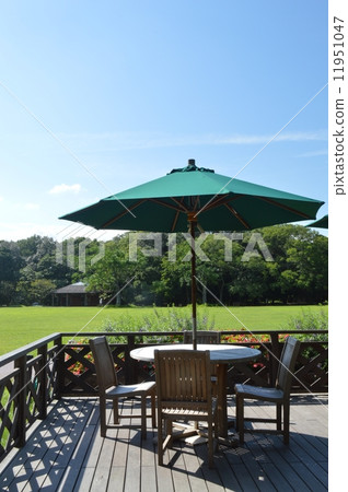 Green Garden Deck 11951047